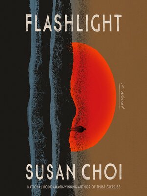 Flashlight - Audiobook